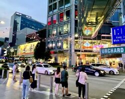 Peranakan Place (D9), Retail #462620191